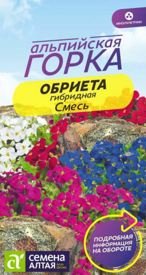 Обриета гибридная «Смесь»