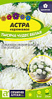 Астра карликовая «Тысяча чудес белая»