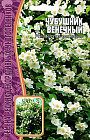 Чубушник «Венечный»