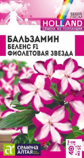 Бальзамин «Беленс F1 Фиолетовая звезда»