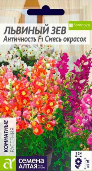 Семена «Львиный зев Античность Смесь окрасок»