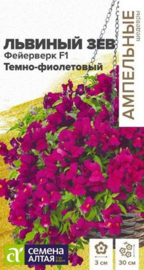 Семена «Львиный зев Фейерверк темно-фиолетовый F1 ампельный»