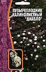 Пузыреплодник калинолистный «Диабло»