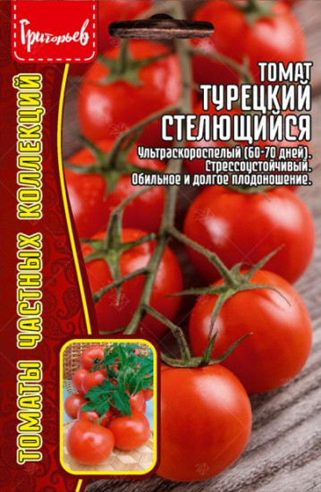 Томат «Турецкий стелющийся»