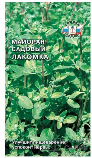 Майоран садовый «Лакомка»