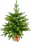 Елка декоративная «Michaela»