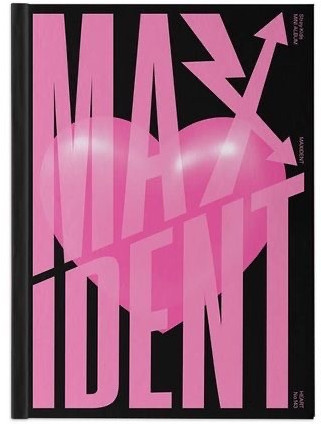 Альбом группы Stray kids — Maxident