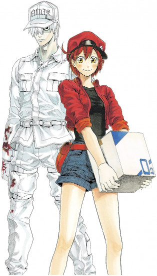 Cells At Work! Manga Box Set