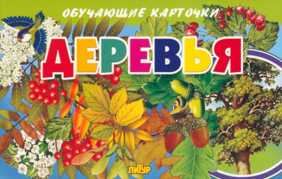 Деревья. Карточки обучающие