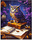 Картина по номерам «Мудрая сова»