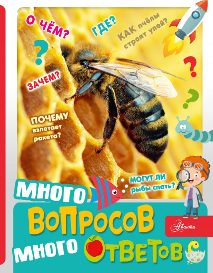 Много вопросов, много ответов