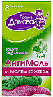 хвоя