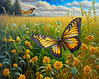 Картина по номерам «Бабочки на лугу»