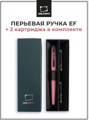 Ручка перьевая с конвертером и картириджами