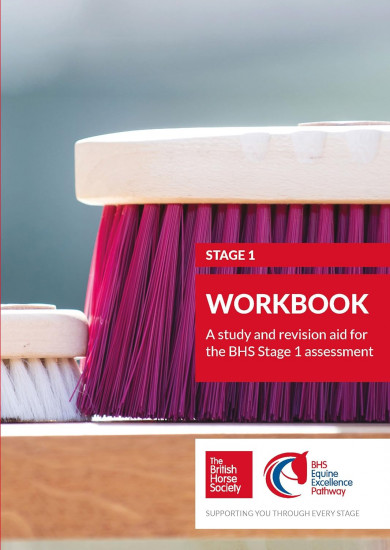 BHS Stage 1 Workbook. A study and revision