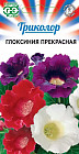 Глоксиния прекрасная «Триколор»