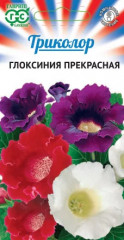 Глоксиния прекрасная «Триколор»