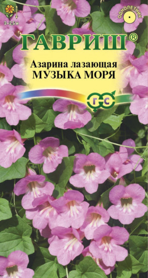 Азарина лазающая «Музыка моря»