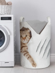Корзины для белья «Кот с царапиной»