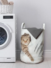 Корзины для белья «Кот с царапиной»