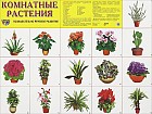 Комнатные растения. Демонстрационный плакат