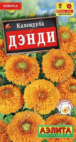 Календула «Дэнди»