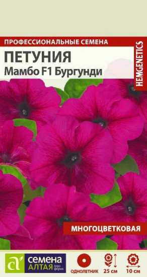 Петуния «Мамбо Бургунди»