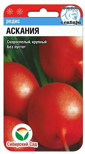 Редис «Аскания»