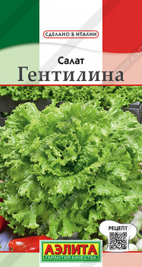 Салат «Гентилина»