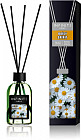 daisy spirit