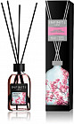cherry blossom