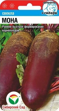 Свекла «Мона»