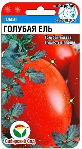 Томат «Голубая ель»