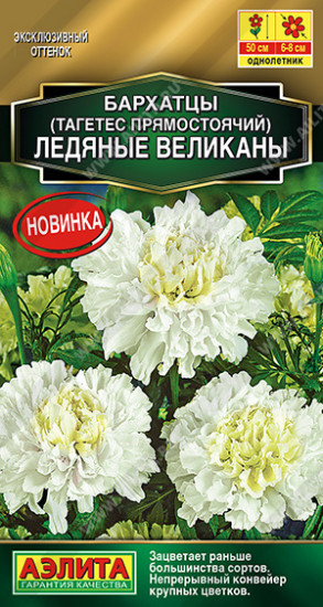 Бархатцы прямостоячие «Ледяные великаны»