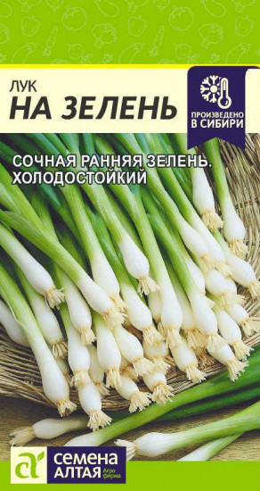 Лук на зелень