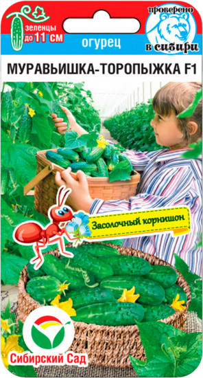 Огурец «Муравьишка-торопыжка»
