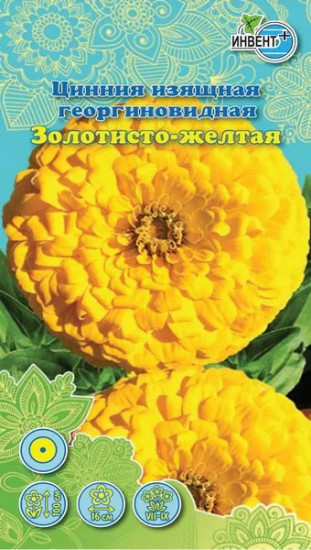 Цинния «Золотисто-жёлтая»