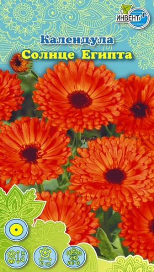 Календула «Солнце Египта»