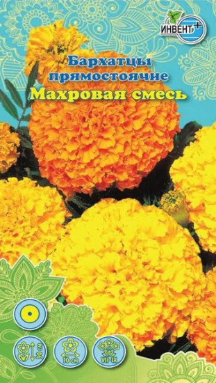 Бархатцы прямостоячие «Махровые смесь»