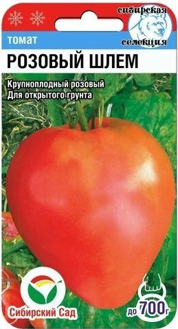 Томат «Розовый шлем»