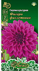 Георгина фиолетовая «Фигаро»