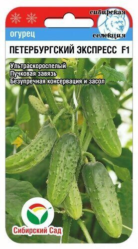 Огурец «Петербургский экспресс F1»