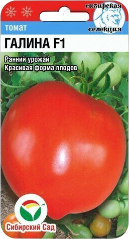 Томат «Галина F1»