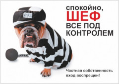 Табличка «Спокойно,шеф, всё под контролем»