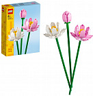Конструктор Iconic 40647 Цветы лотоса. Lotus Flowers