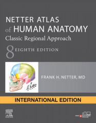 Netter Atlas Of Human Anatomy