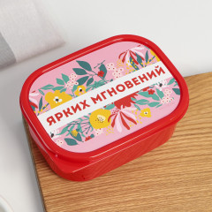 Ланч-бокс «Ярких мгновений»