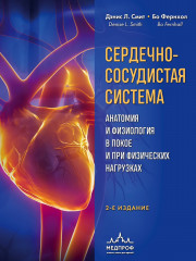 Сердечно-сосудистая система