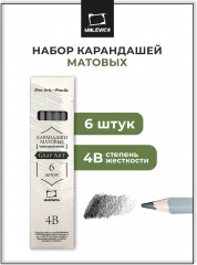 Набор карандашей чернографитных матовых