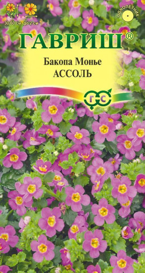 Бакопа «Ассоль»